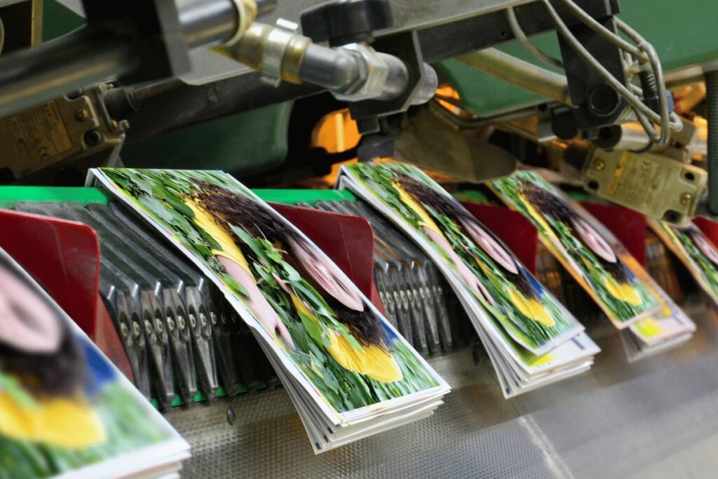 Brochure Printing UAE